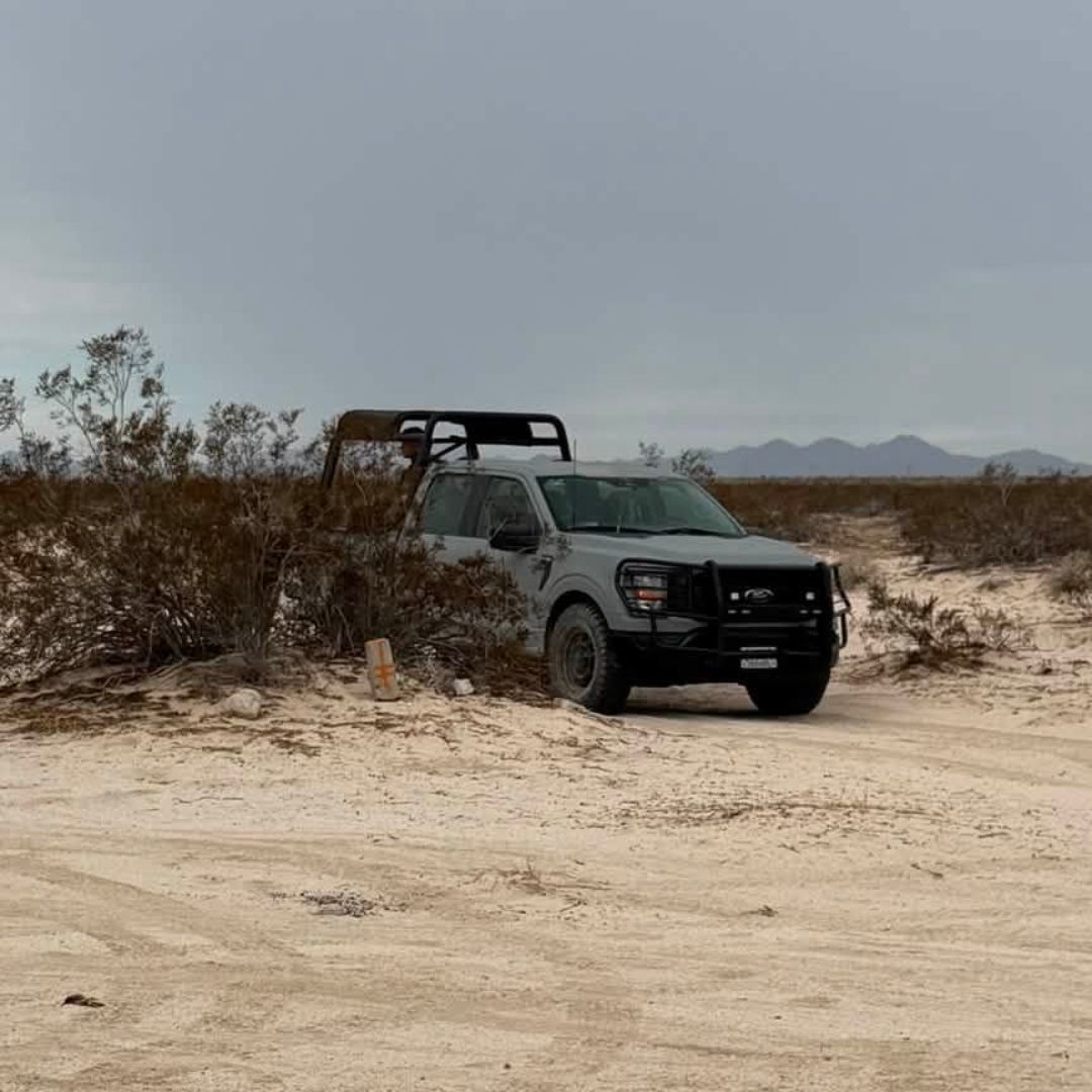 Localizan Restos Óseos Durante Jornada de Búsqueda en San Felipe, Baja California